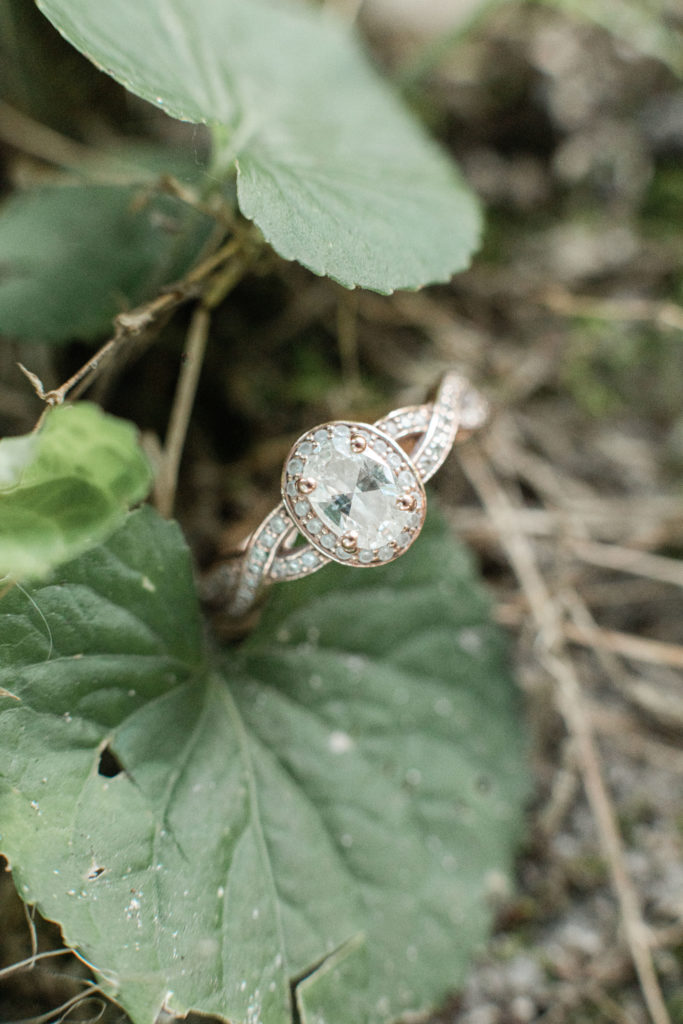 batsto village engagement