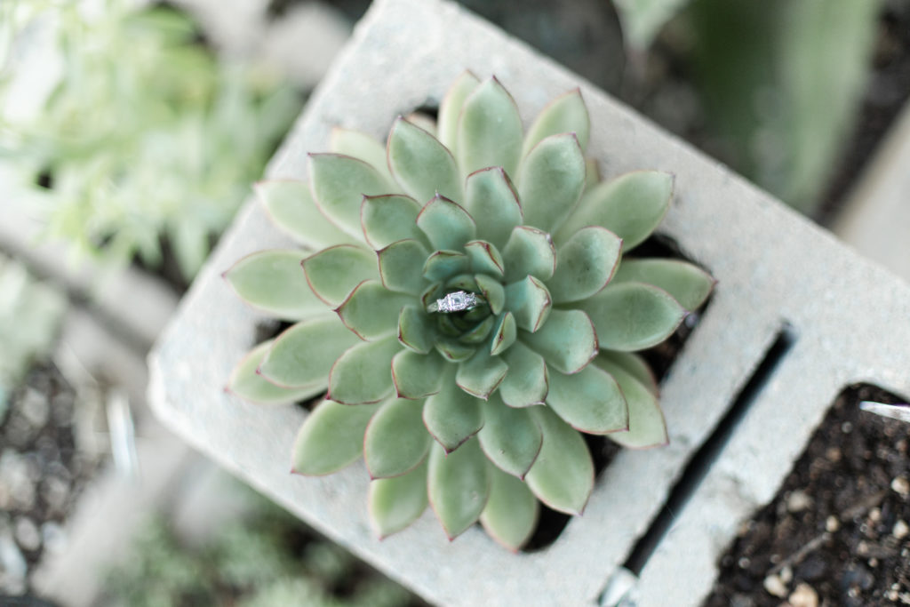 Rutger gardens engagement session