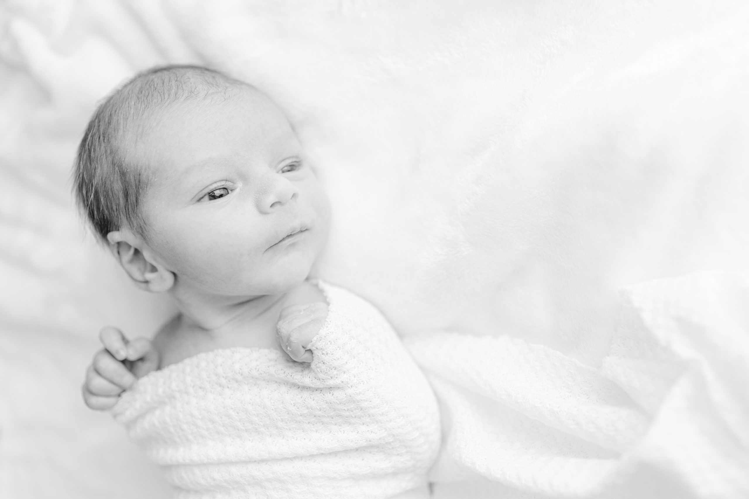 in home newborn session