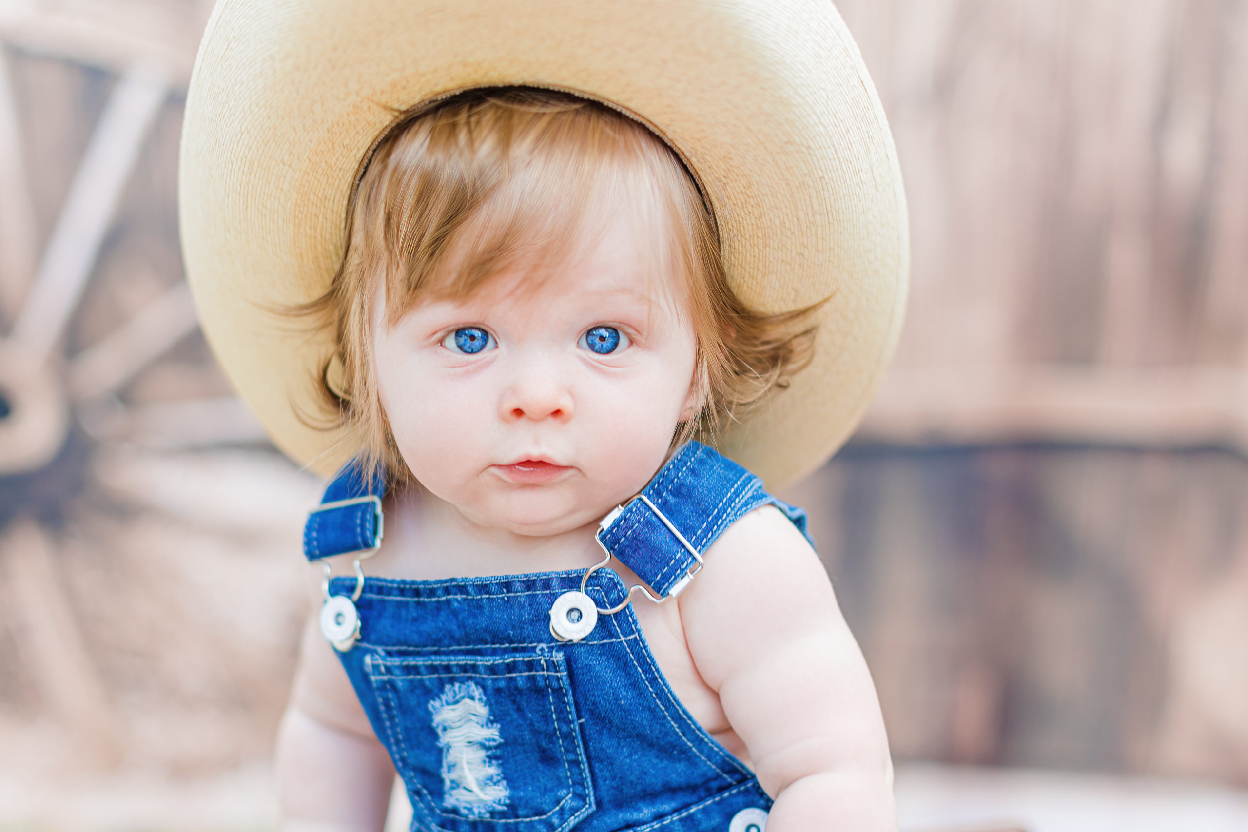 Cowboy half birthday photoshoot